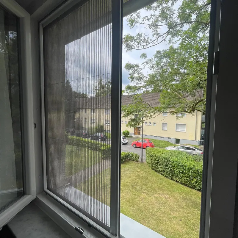 Plissee-Fliegengitter am Fenster